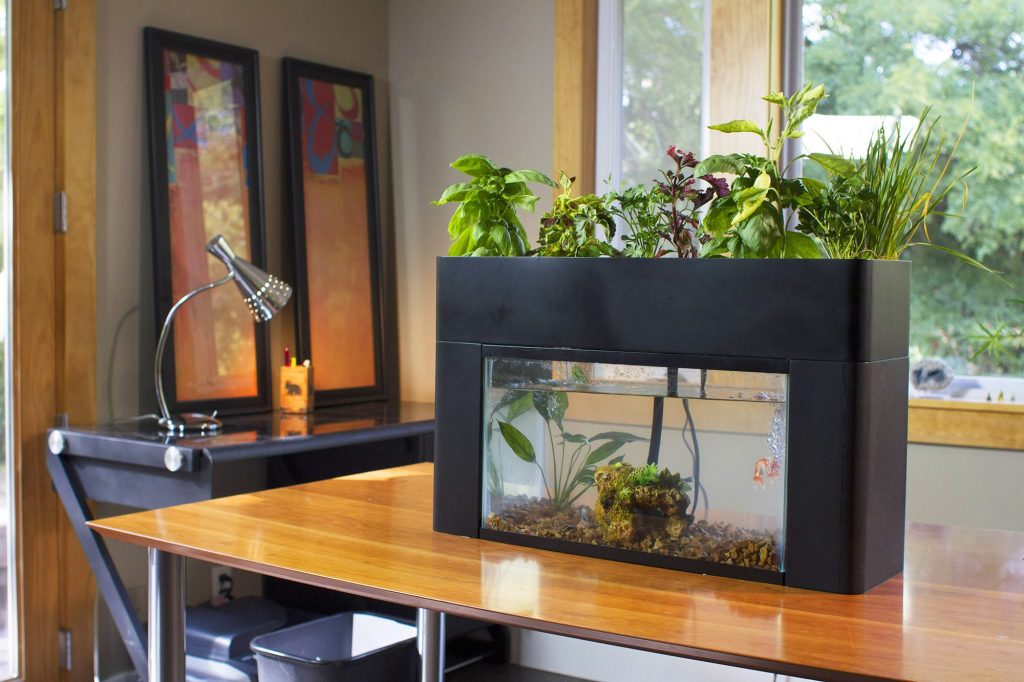 These Are The 14 Indoor Smart Garden Ideas That You Need to Know About