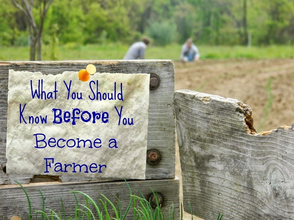 From Money Zero To Farmer Hero, or How Much Do You Need To a