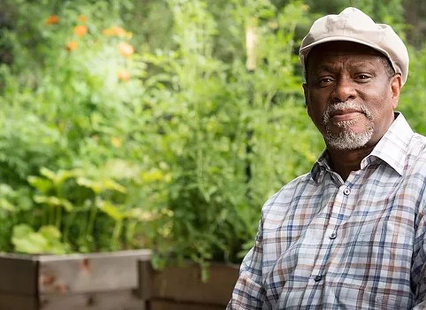 Cultivating Community: 4 Urban Farming Insights