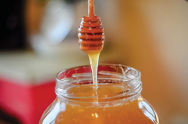 Bees & Beyond: 5 Essential Honey Harvesting Steps