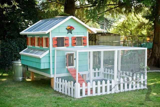 Chicken Coops - the best option for your backyard