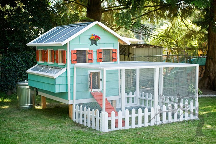 Backyard Chicken Coops: Optimal Urban & Suburban Choices