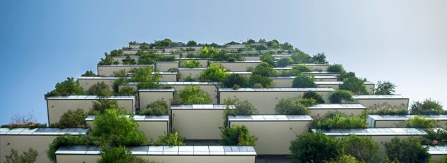 How to Grow Plants in City