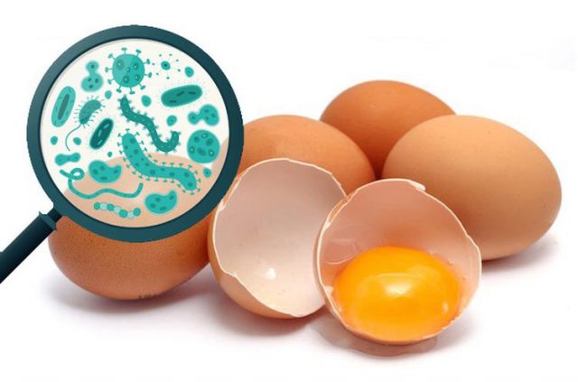 How to Make Sure Your Eggs Are Salmonella Free