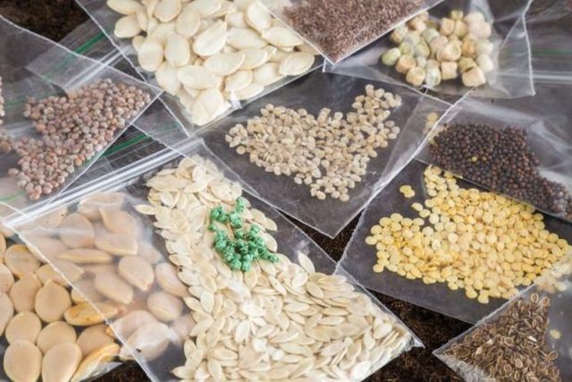 How to save seeds