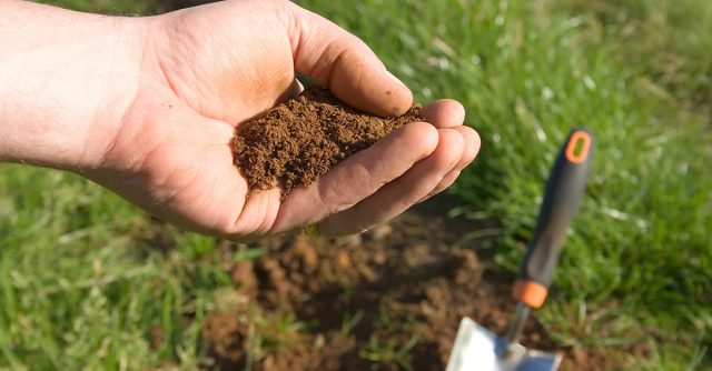 When to test your soil