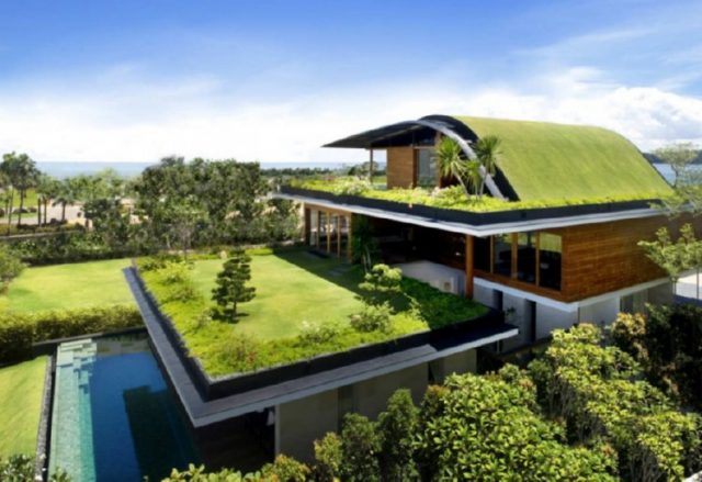 green roofs