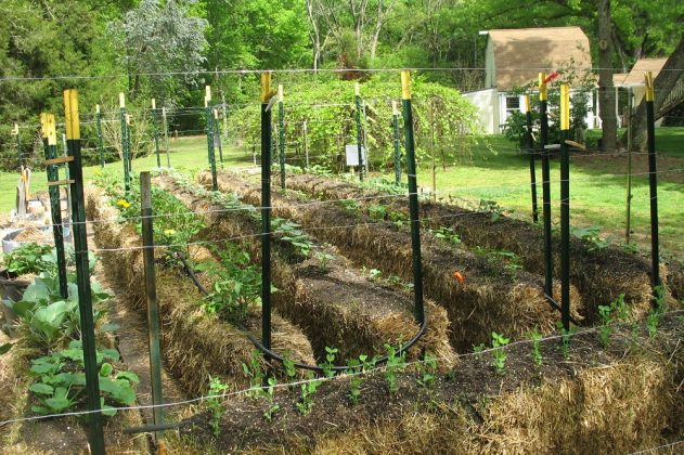 Why Is A Hay-Bale Garden The Great Thing To Start? - UrbanFarmOnline.com