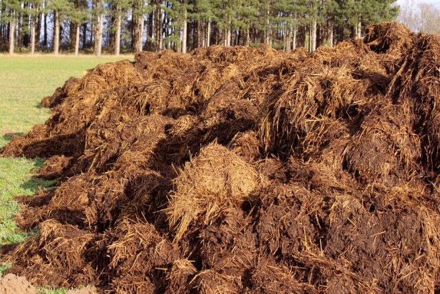 farm manure