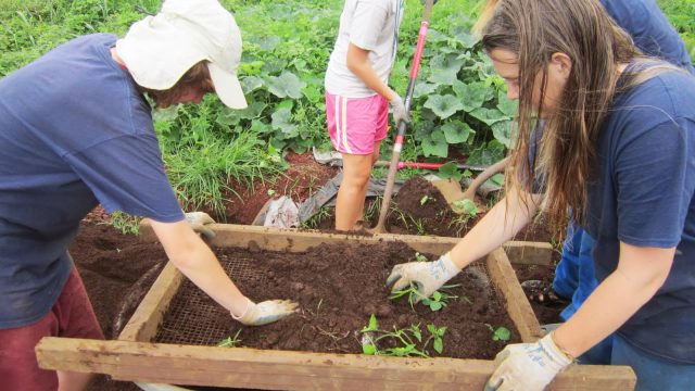 Life Lessons Gardening Can Teach Your Teenagers