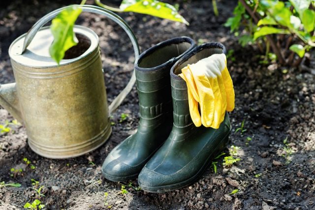 Why you should buy the best gardening shoes