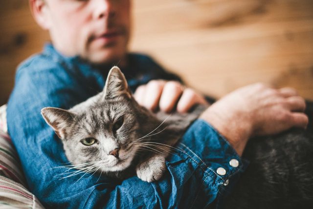 CatCuddle1