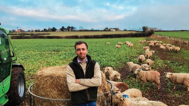 Everything you Need to Know How to Develop a Farm