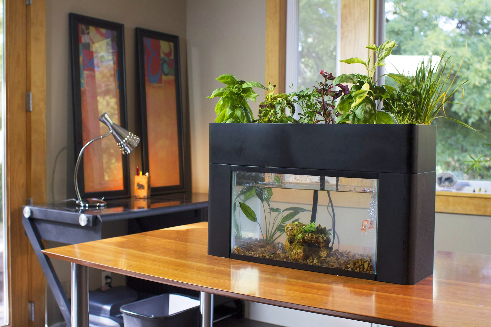 These Are The 14 Indoor Smart Garden Ideas That You Need to Know About ...