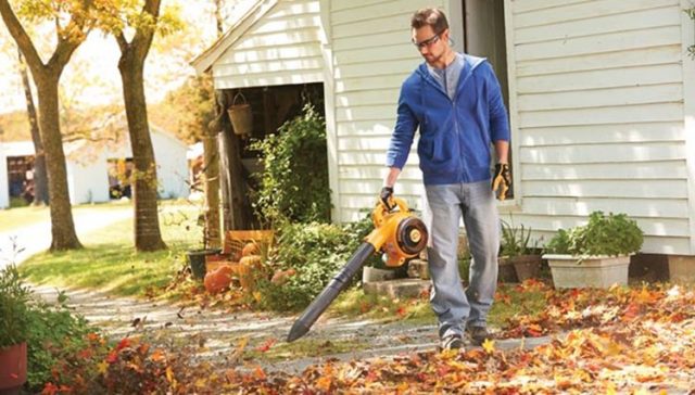 How using a leaf blower can be fun during work