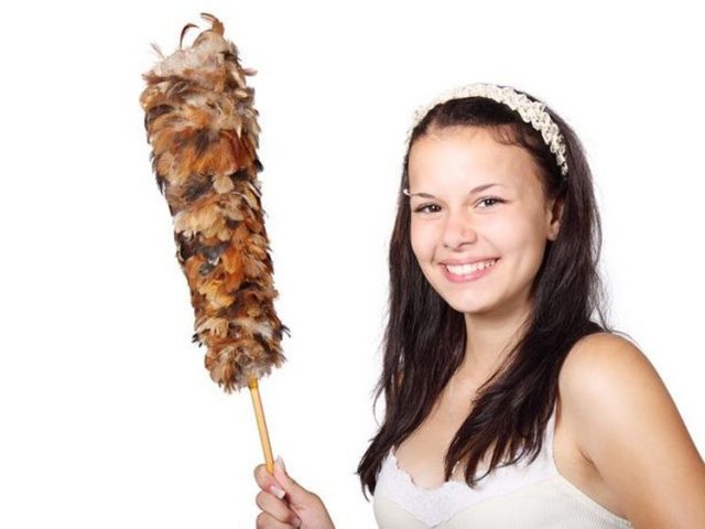 Spring Home Improvement and Cleaning Tips