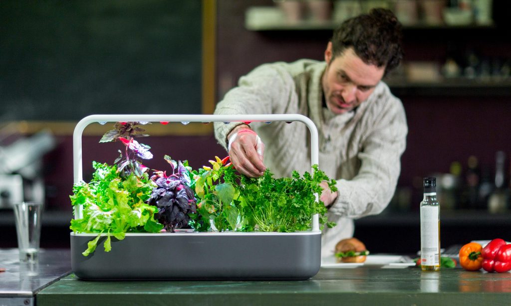 These Are The 14 Indoor Smart Garden Ideas That You Need to Know About