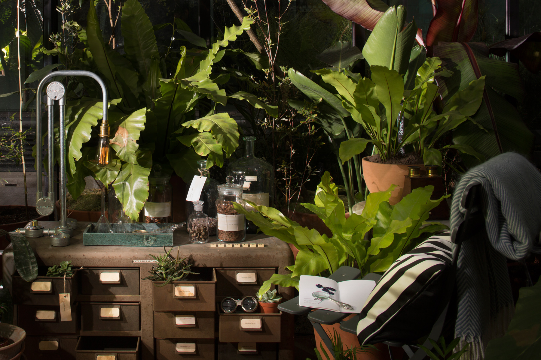 10 Most Beautiful Terrariums Urban Farm Online