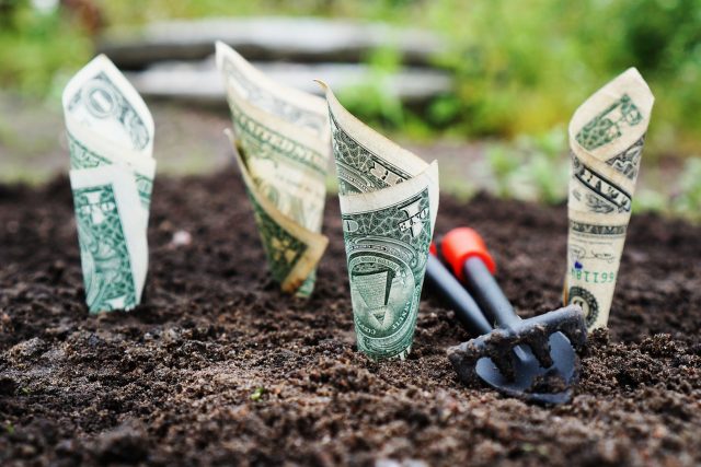 Funds Money Interest Invest Grow Save Shares