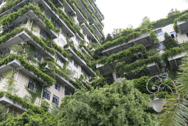 apartments with gardens