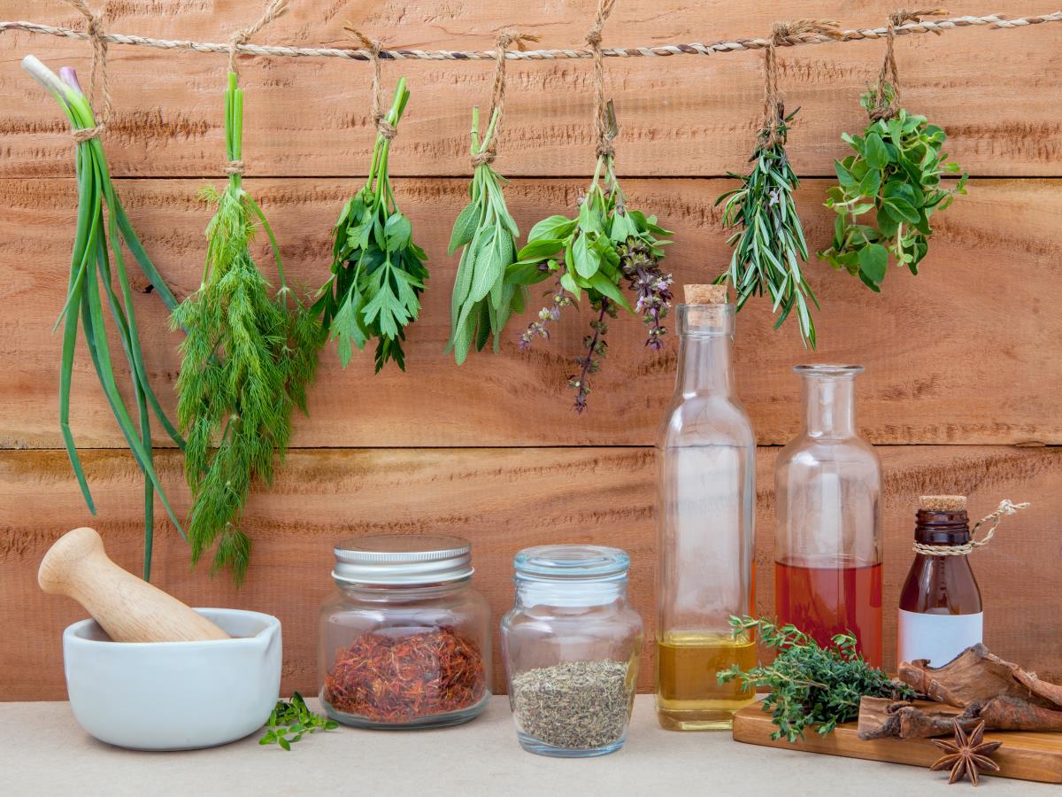 Indoor Herb Garden: 3 Top Home Remedy Herbs Revealed