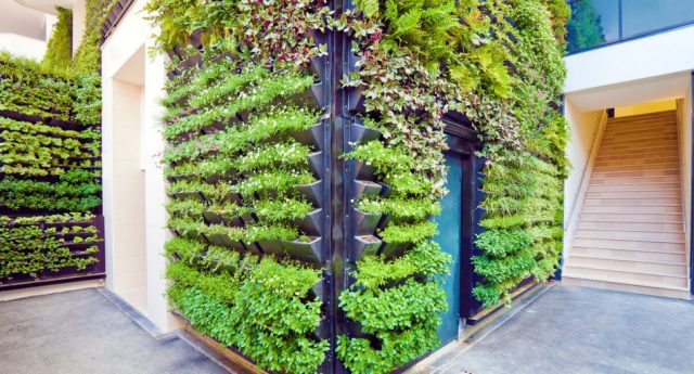What is an Urban Garden