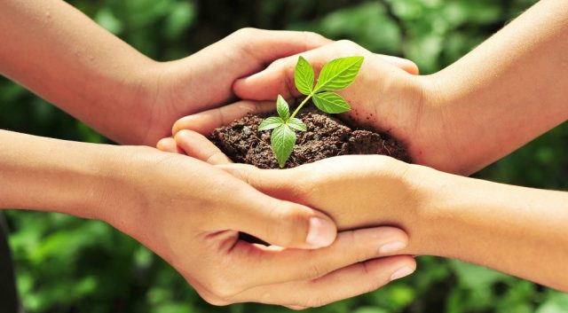 Small Changes You Can Make to Live a More Sustainable Life