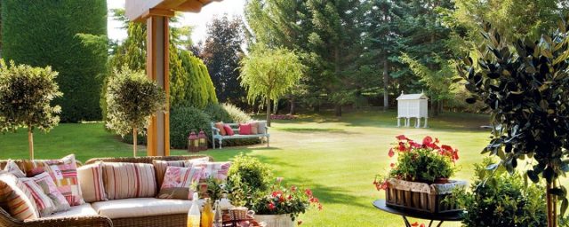 Tools you need to keep your garden clean