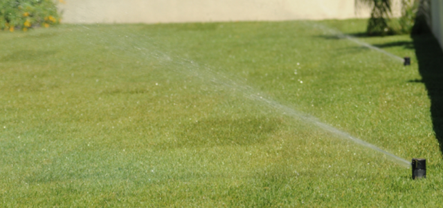 Proper Lawn Care During Summer Months