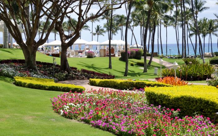 5 Hotel Gardens: Native Plants, Wildlife Habitat & Design