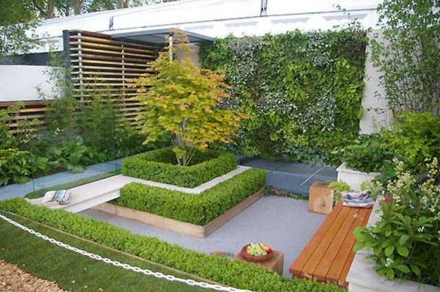 Urban Gardening Ideas and Tips for a Small Green Space