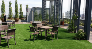 A rooftop garden from a restaurant