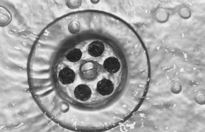 Find Out Easy Tips For Drain Cleaning