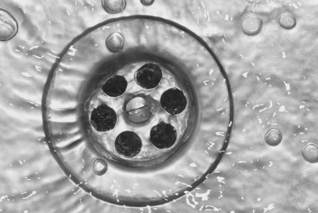 Find Out Easy Tips For Drain Cleaning