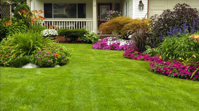 Make Your Yard Greener