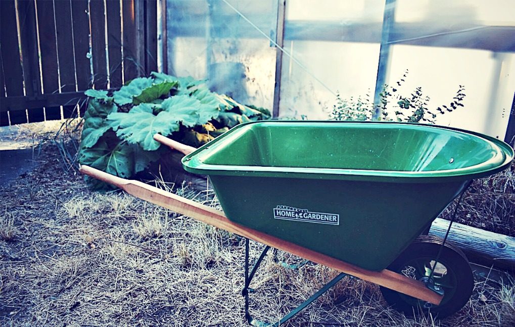 Autumn Abundance: Top Fall Gardening Tips