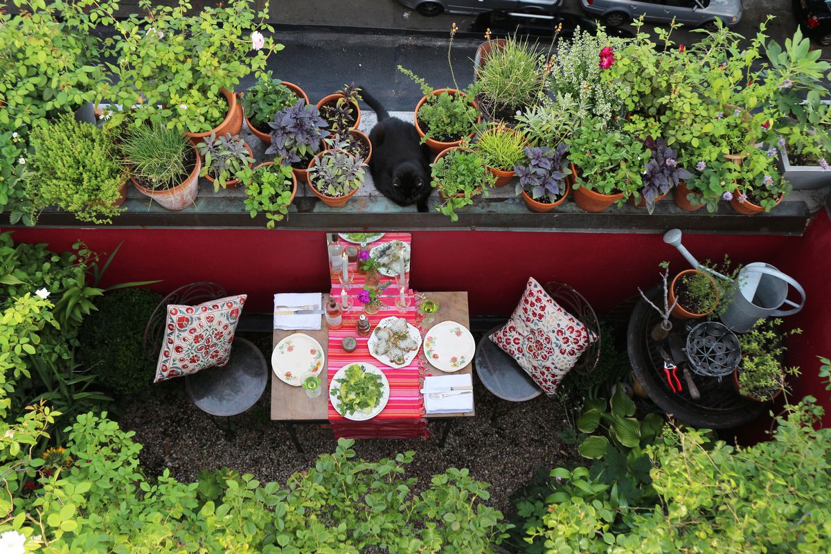 6 Apartment Gardening Tips For Renters With Limited Space - Urban Farm ...