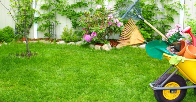 Tips And Tricks To Maintaining Your Lawn