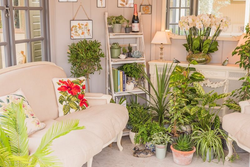 6 Apartment Gardening Tips For Renters With Limited Space - Urban Farm ... - Apartment Gardening With Limited Outdoor Space