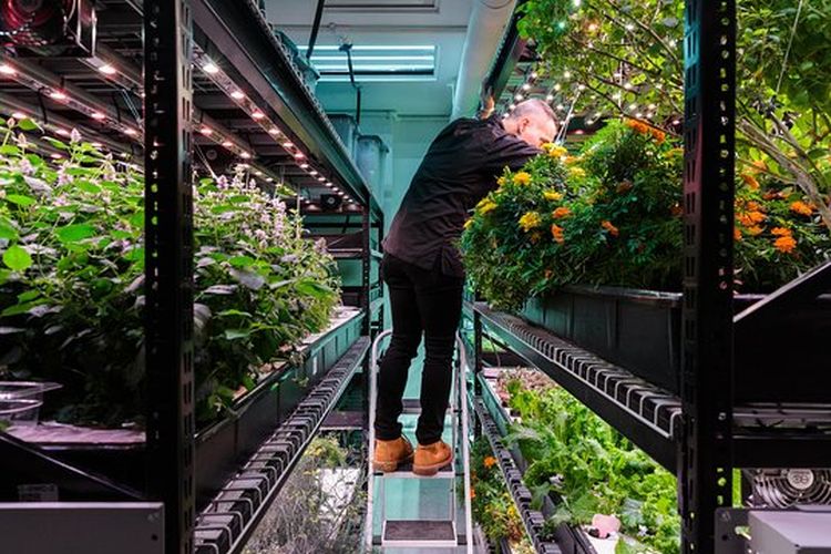 Hydroponics Indoor Farming: Essential Guide & Benefits