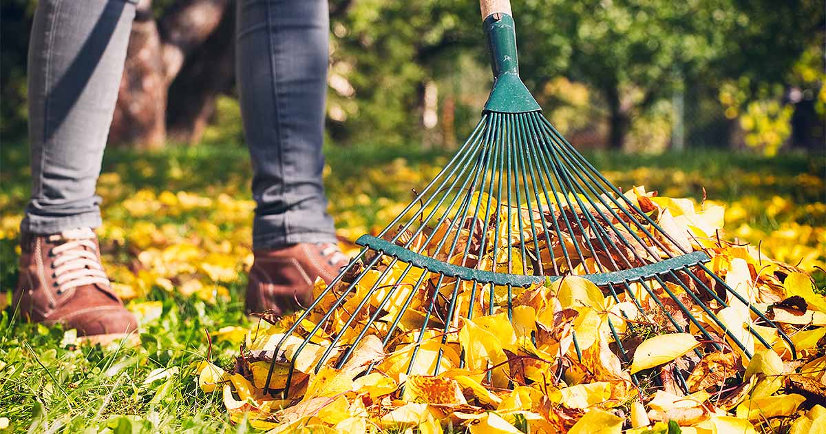 7 Essential Yard Care Tools Every Home Should Have Urban Farm Online