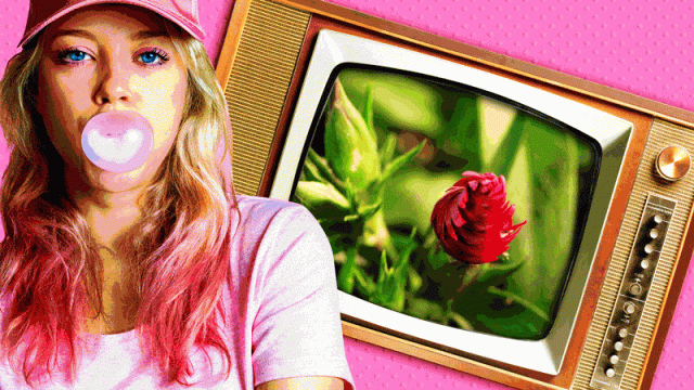 How Much Can You Learn About Gardening from Watching TV Shows