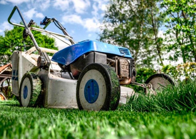 Ground Maintenance Tools