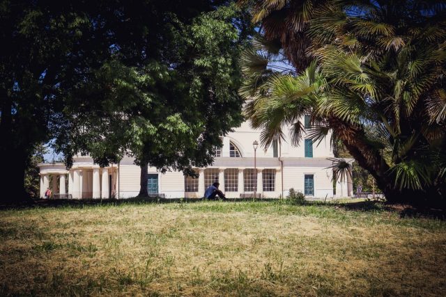 How to Restore a Neglected Lawn