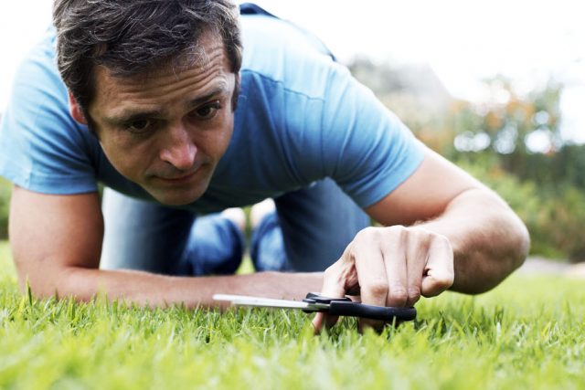 When is the Best Time of day to Mow your Lawn