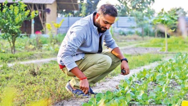 Create your Organic Garden