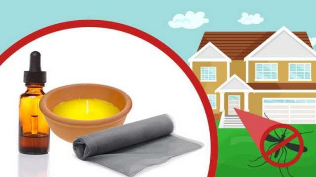 How to Keep Mosquitoes Away from Your Home