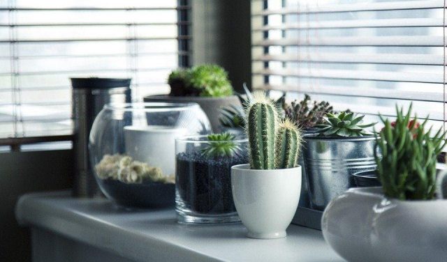 How to Bring the Outside in When Decorating Your Home