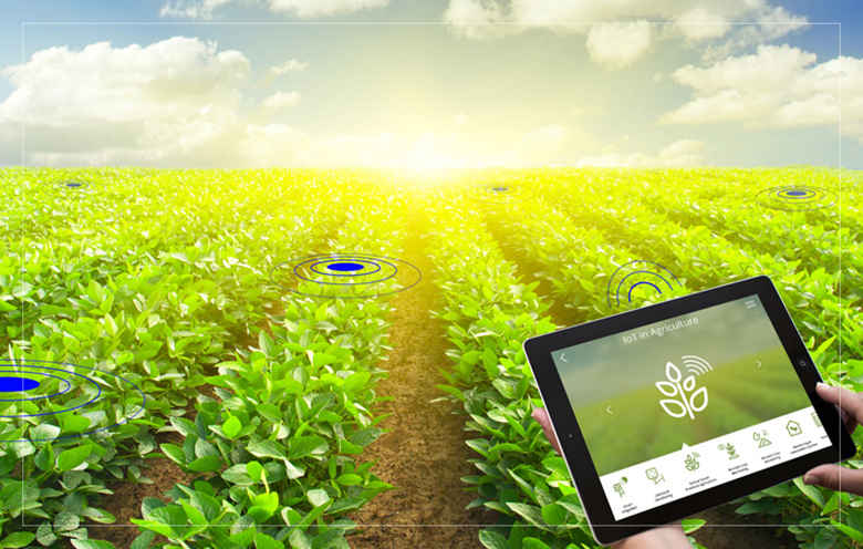Data-Driven Smart Urban Farming: Eco-Solutions Evolve