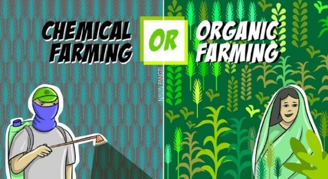 Chemical Farming versus Organic Farming